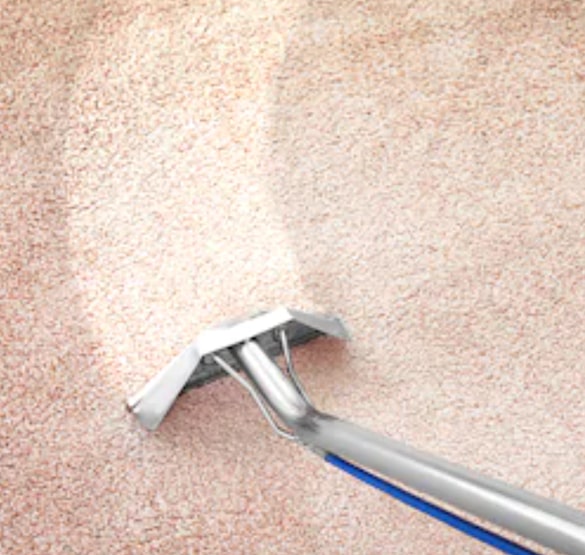 carpet cleaning hornsby